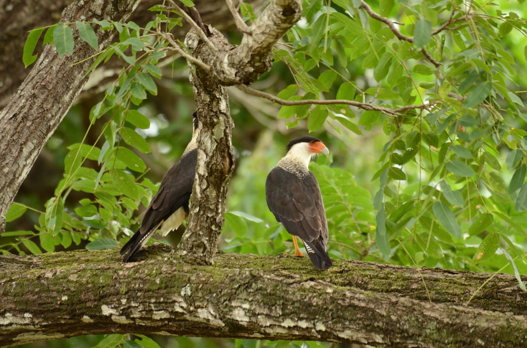 Quercus Travel Santa Rosa National Park. A journey through history and nature