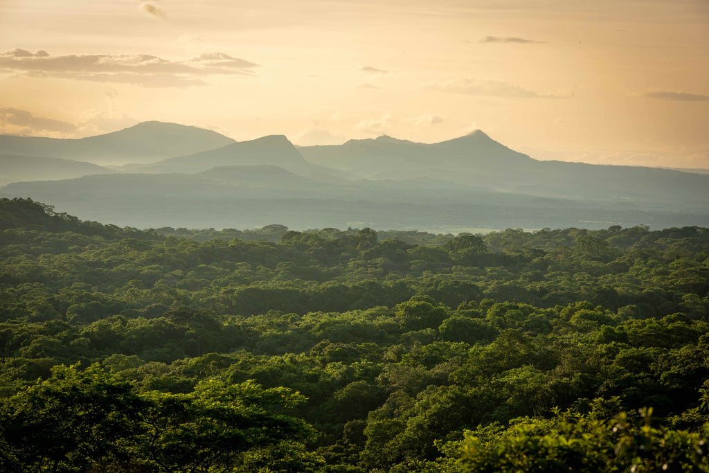 Quercus Travel Santa Rosa National Park. A journey through history and nature