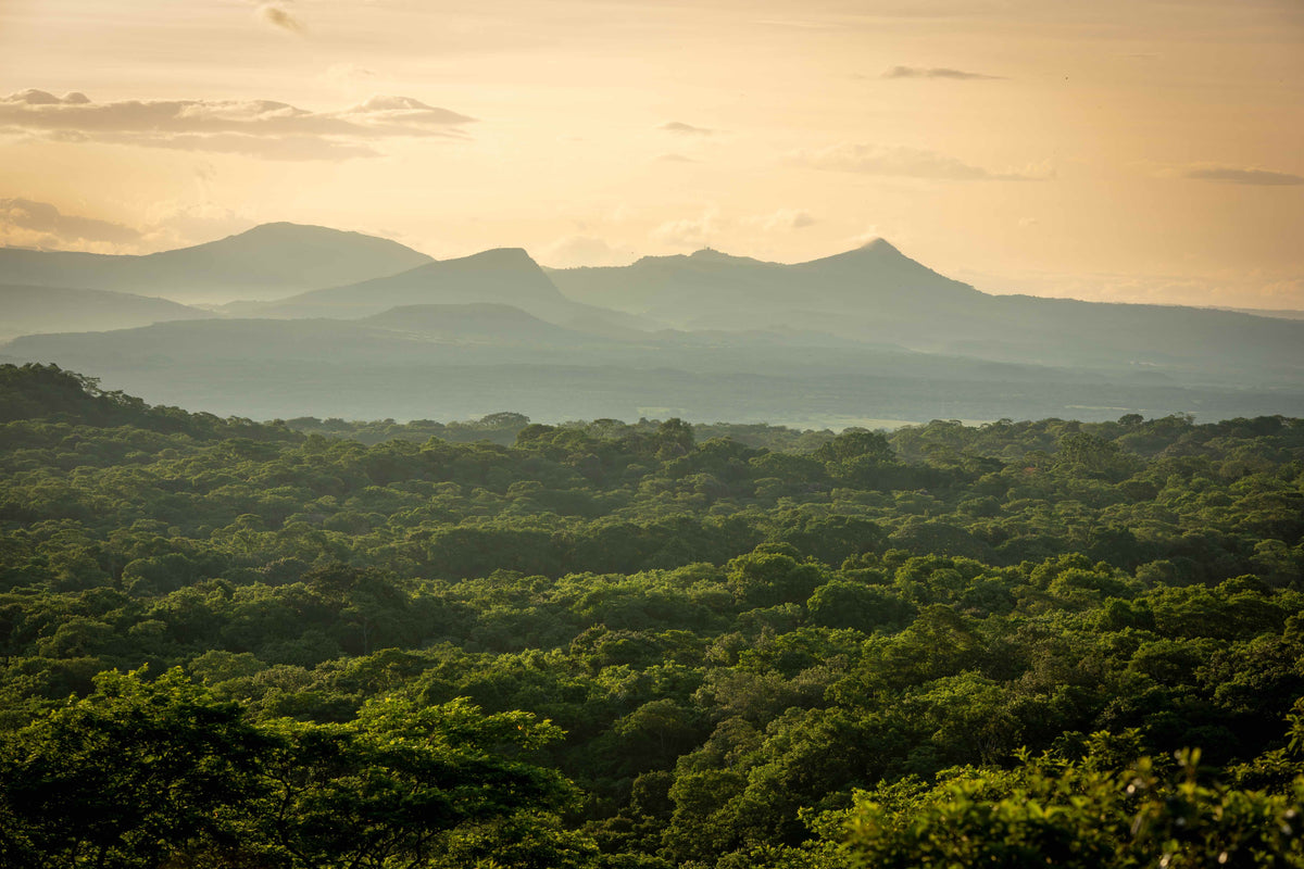 Quercus Travel Santa Rosa National Park. A journey through history and nature