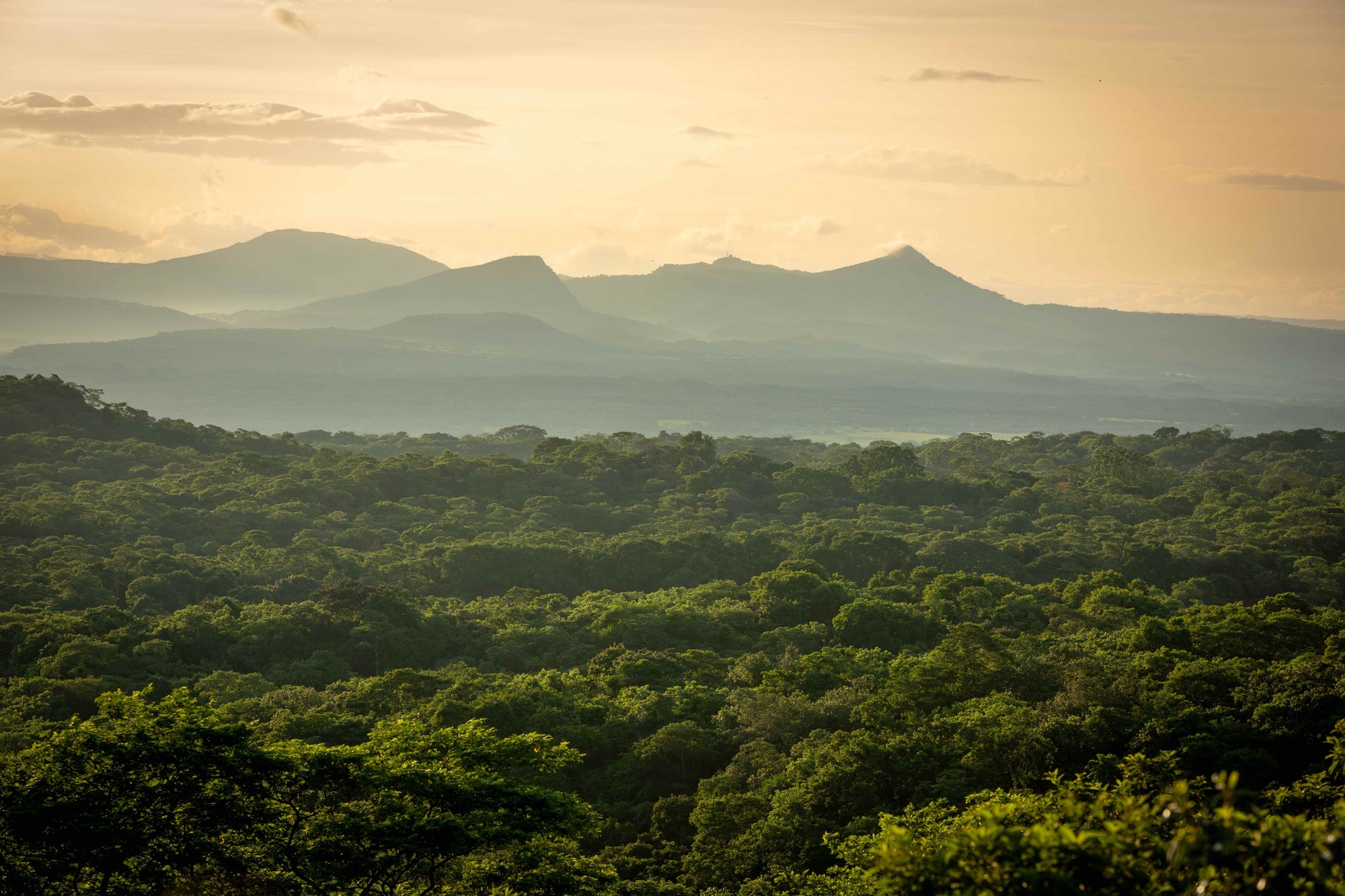 Quercus Travel Santa Rosa National Park. A journey through history and nature