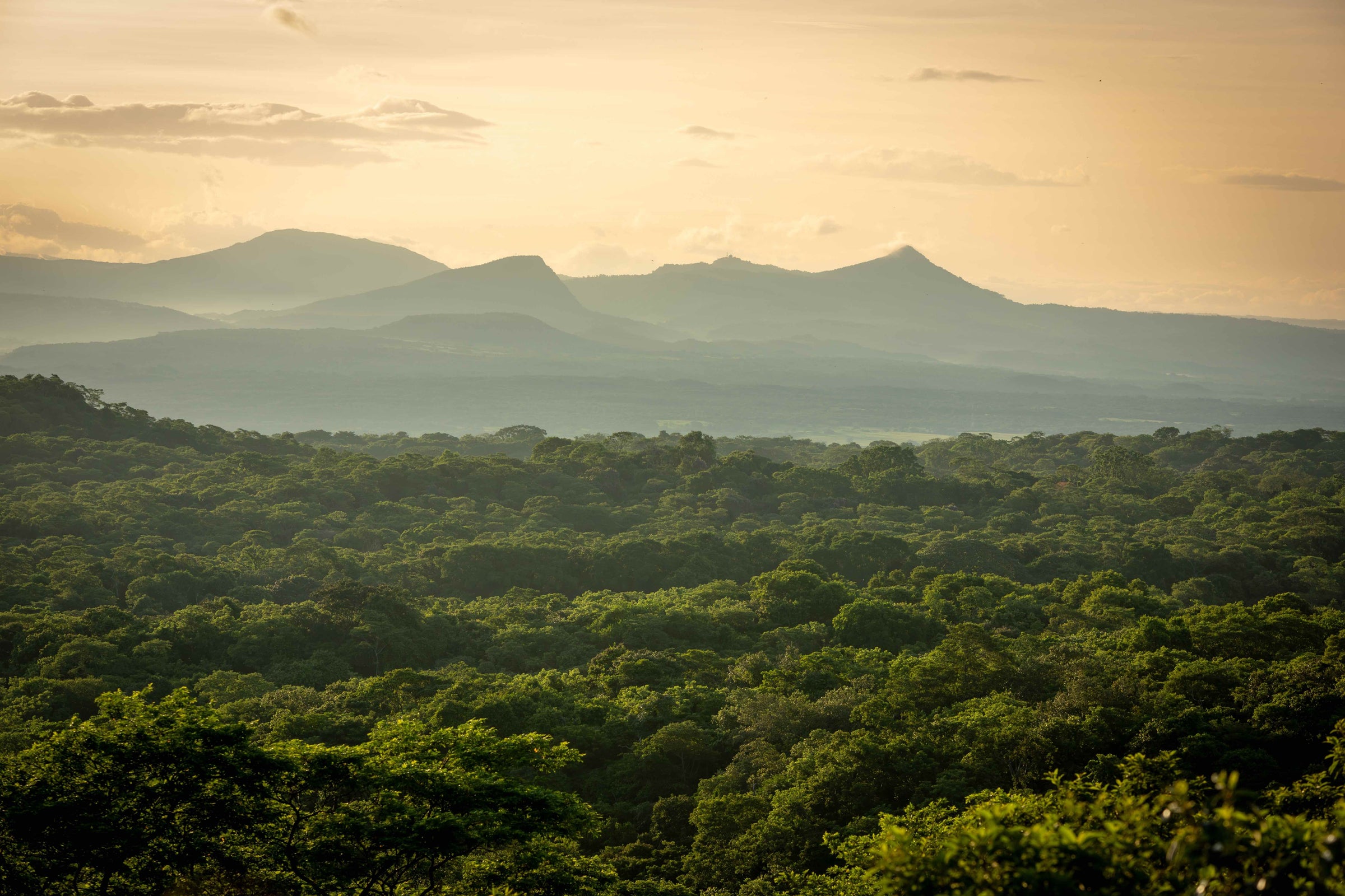 Quercus Travel Santa Rosa National Park. A journey through history and nature