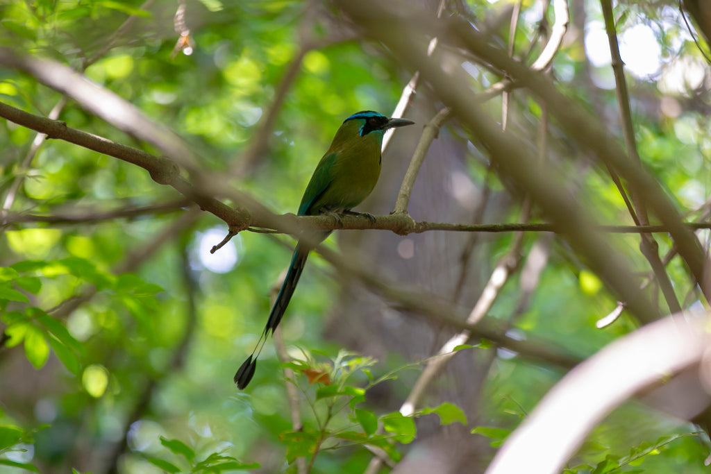 Quercus Travel Santa Rosa National Park. A journey through history and nature
