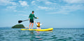 Quercus Travel Choose one: SUP, Surf, Kayak or bote tour. Only Zone 2 Guanacaste.