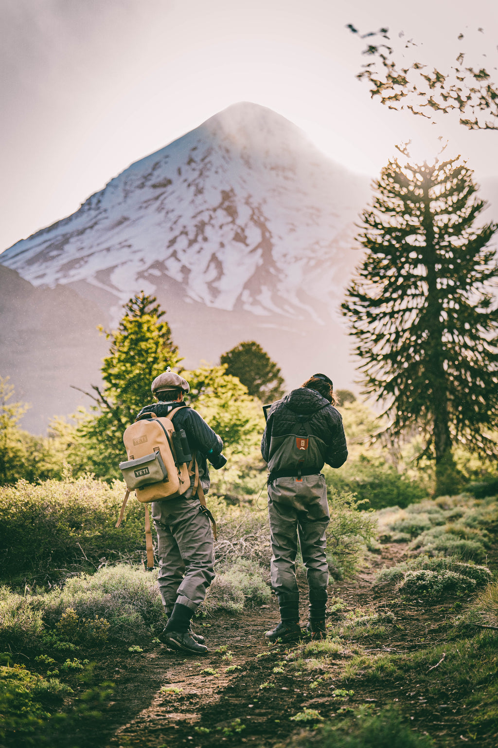 Volcán Lanin