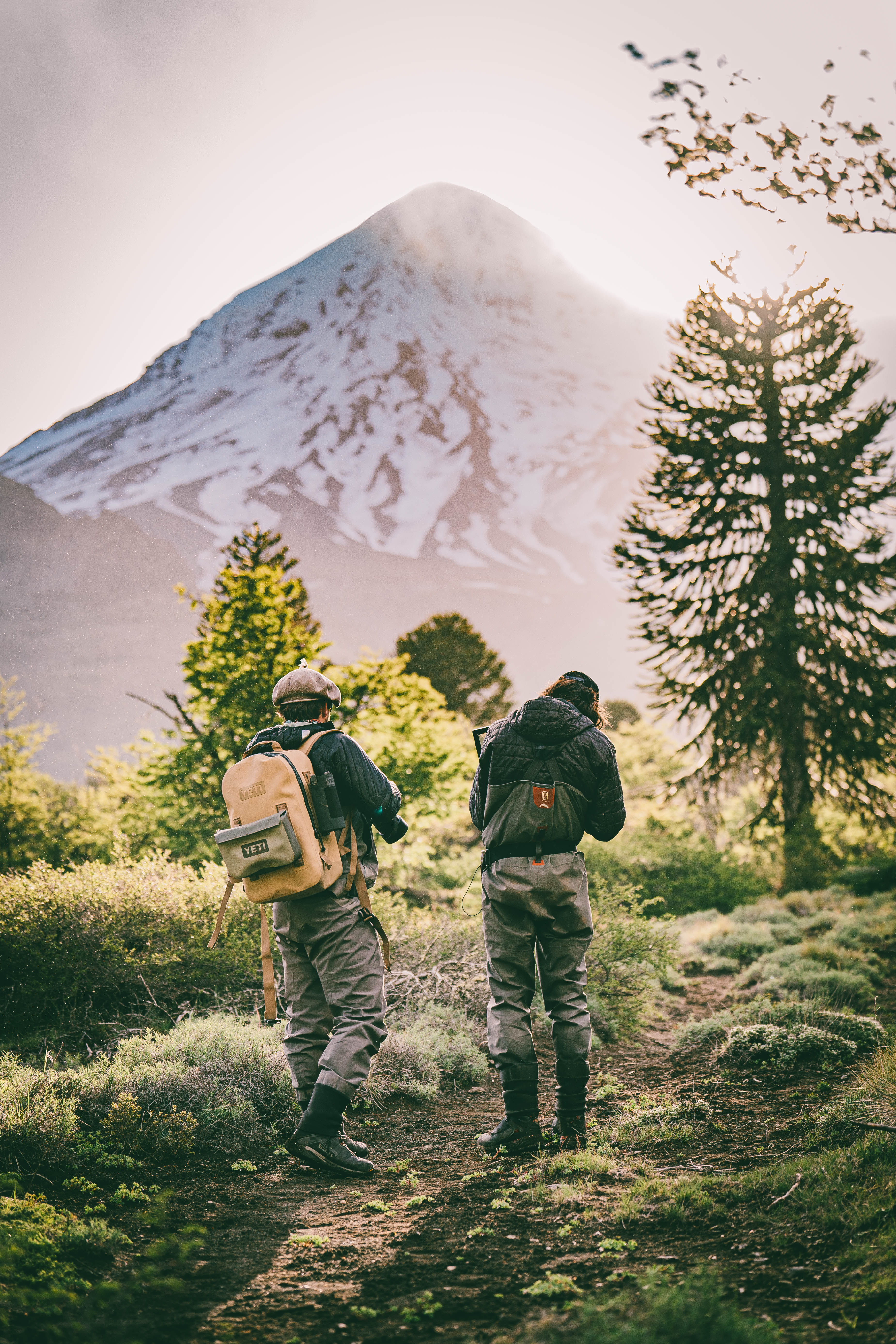 Volcán Lanin