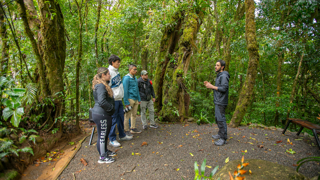 Quercus Travel Savia Experience – Connect with the Cloud Forest in Monteverde