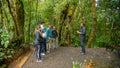 Quercus Travel Savia Experience – Connect with the Cloud Forest in Monteverde