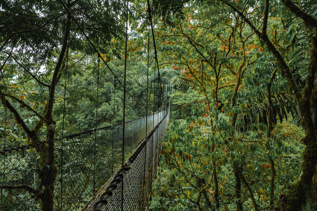 Quercus Travel Monteverde Highlights Tour: Zipline Canopy, Hanging Bridges, Lunch and Cultural Delights