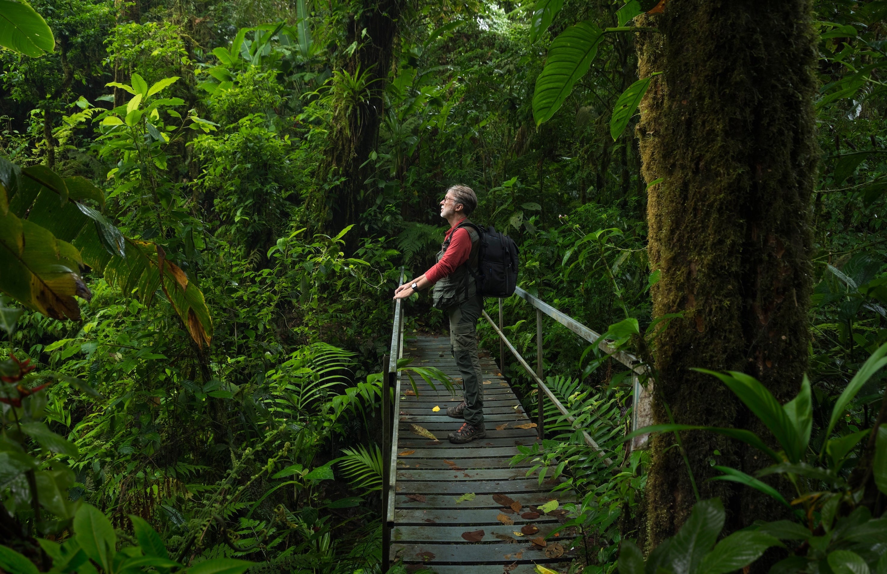 Quercus Travel Monteverde Highlights Tour: Zipline Canopy, Hanging Bridges, Lunch and Cultural Delights