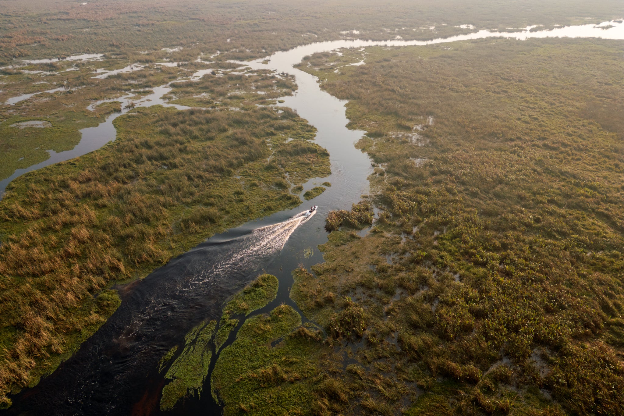 Iberá