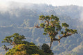 Quercus Travel Monteverde Cloud Forest Biological Reserve