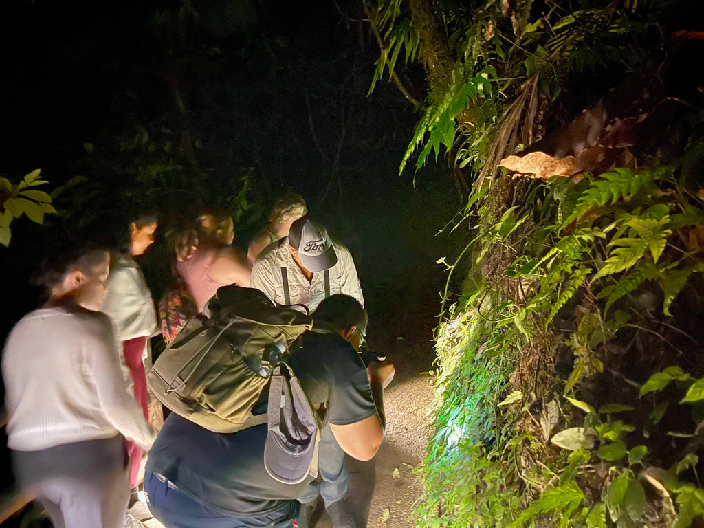 Quercus Travel Monteverde Night Hike