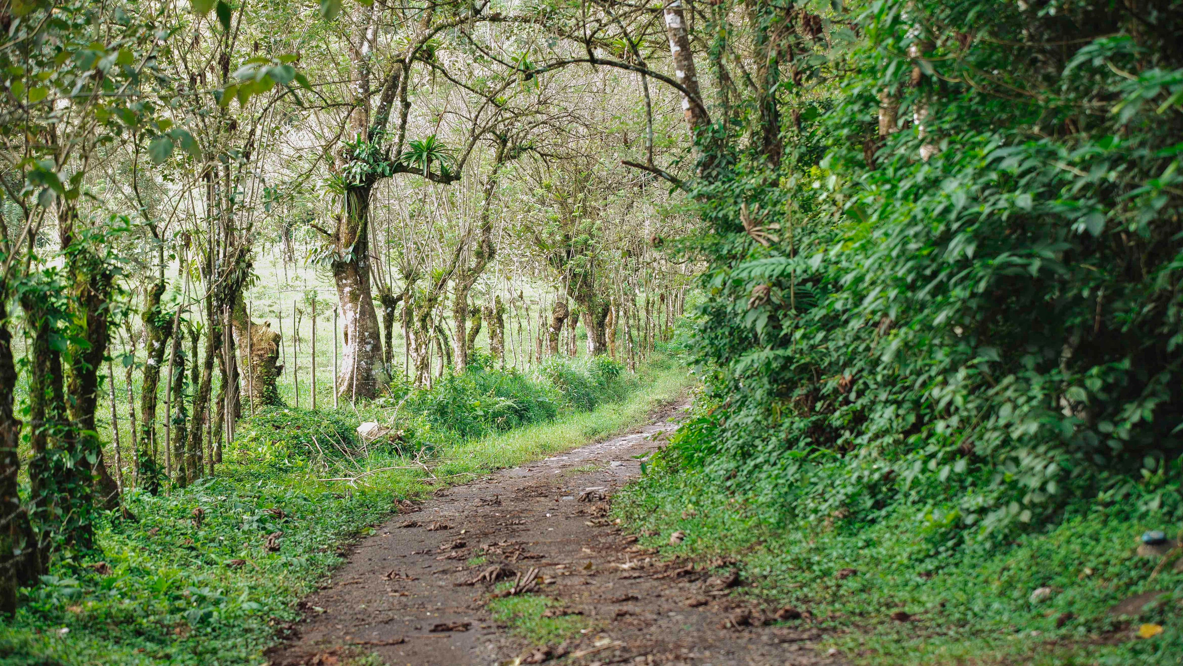 Quercus Travel Curi Cancha Reserve Hike