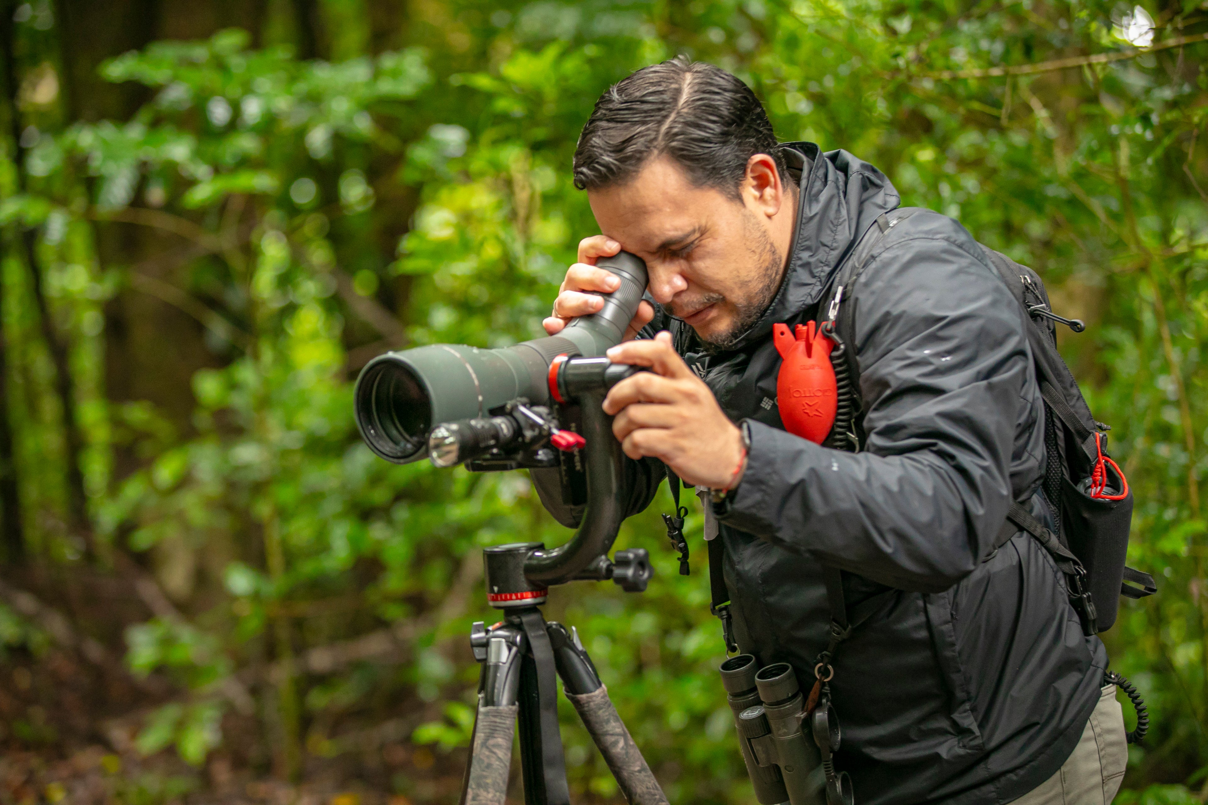 Quercus Travel Birdwatching in Monteverde (Halfday)