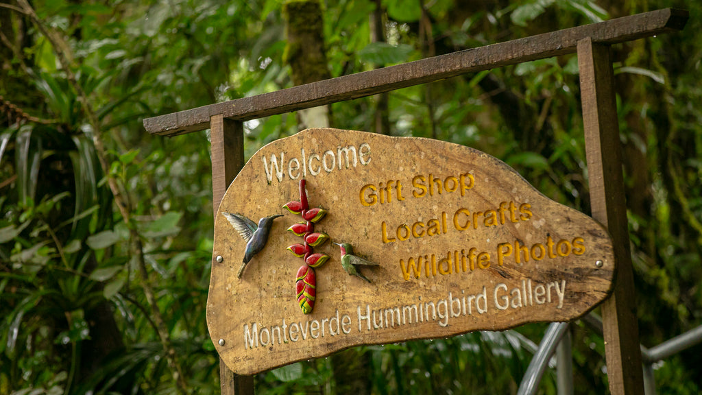 Quercus Travel Birdwatching in Monteverde (Halfday)