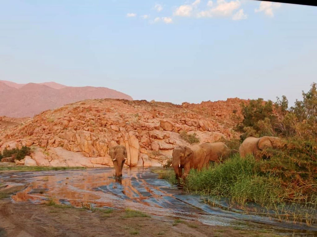 Damaraland: 3-Day Elephant & Brandberg Adventure Tour