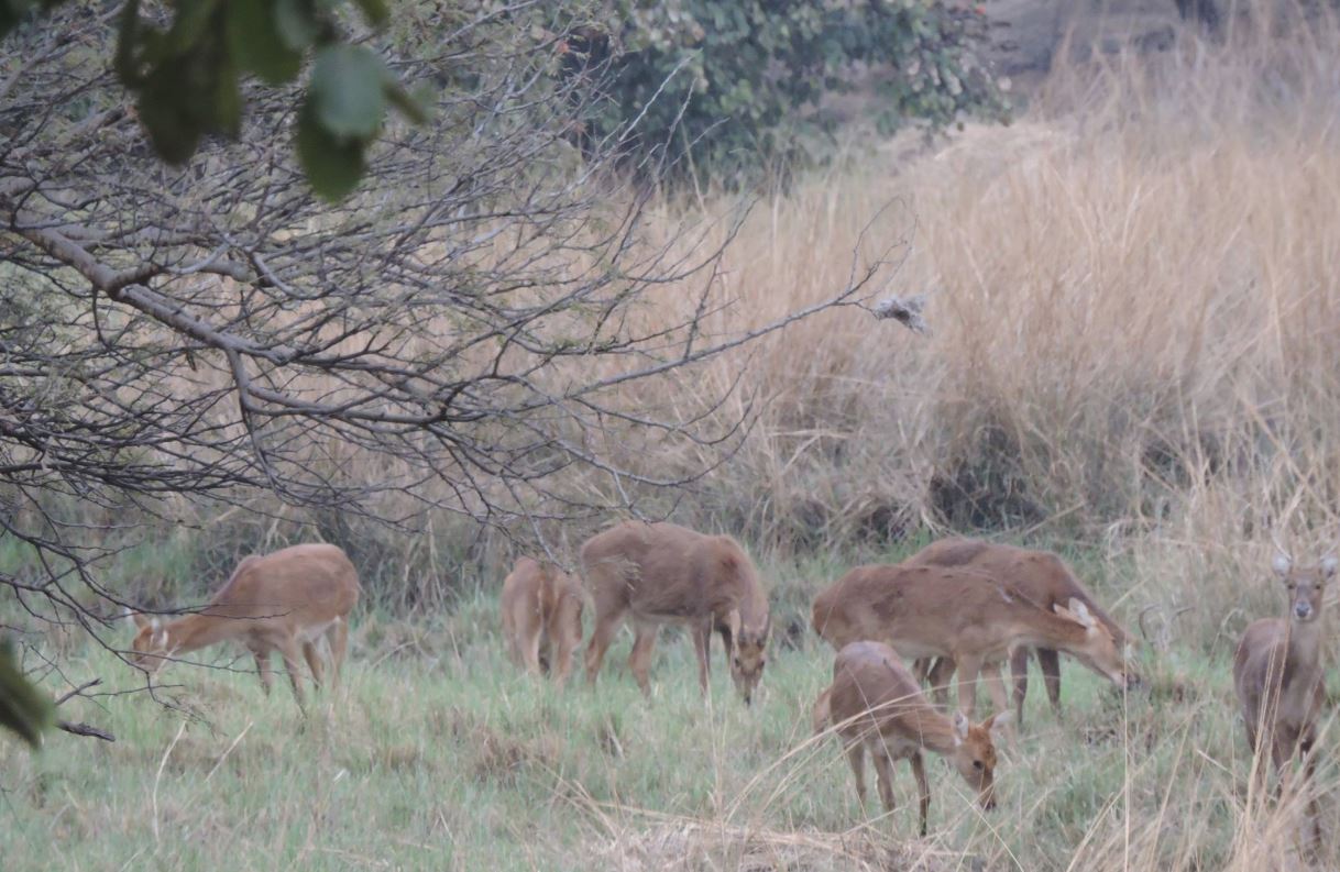 Van Vihar National Park