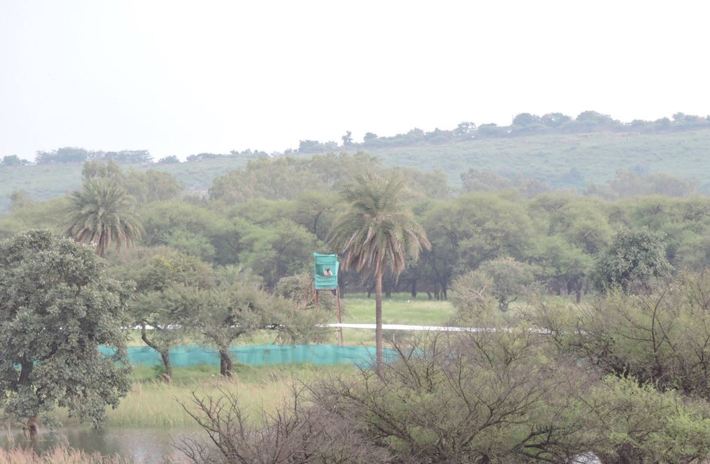 Van Vihar National Park