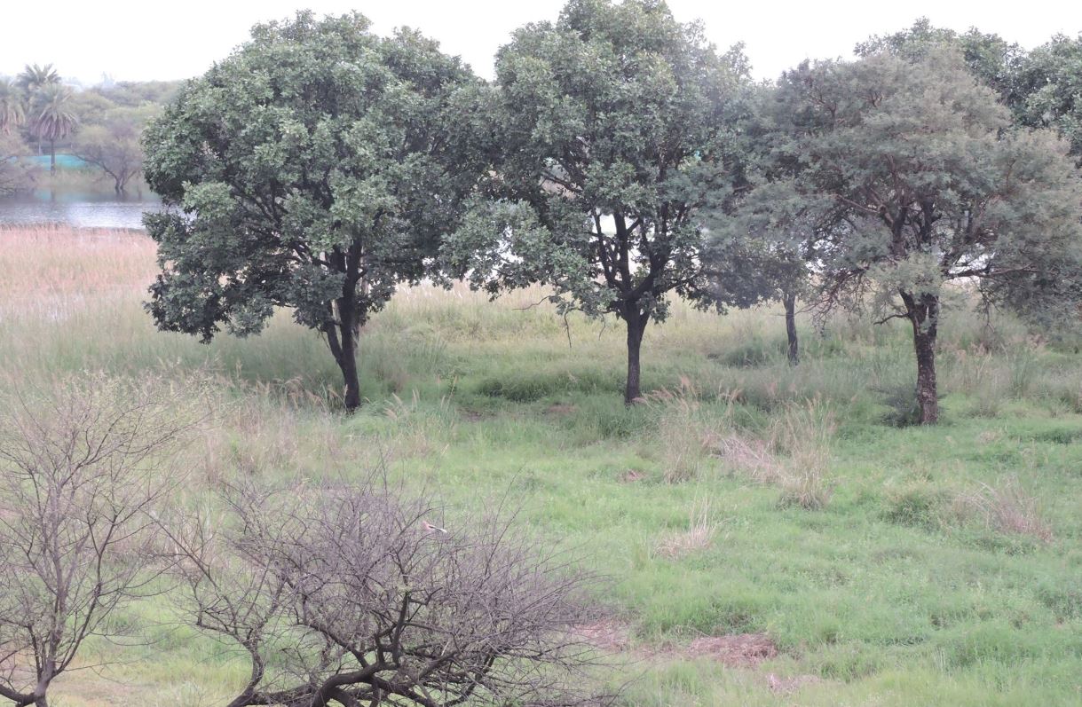 Van Vihar National Park