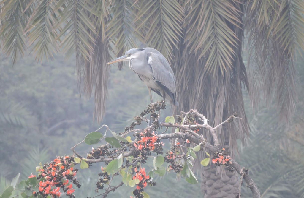 Van Vihar National Park