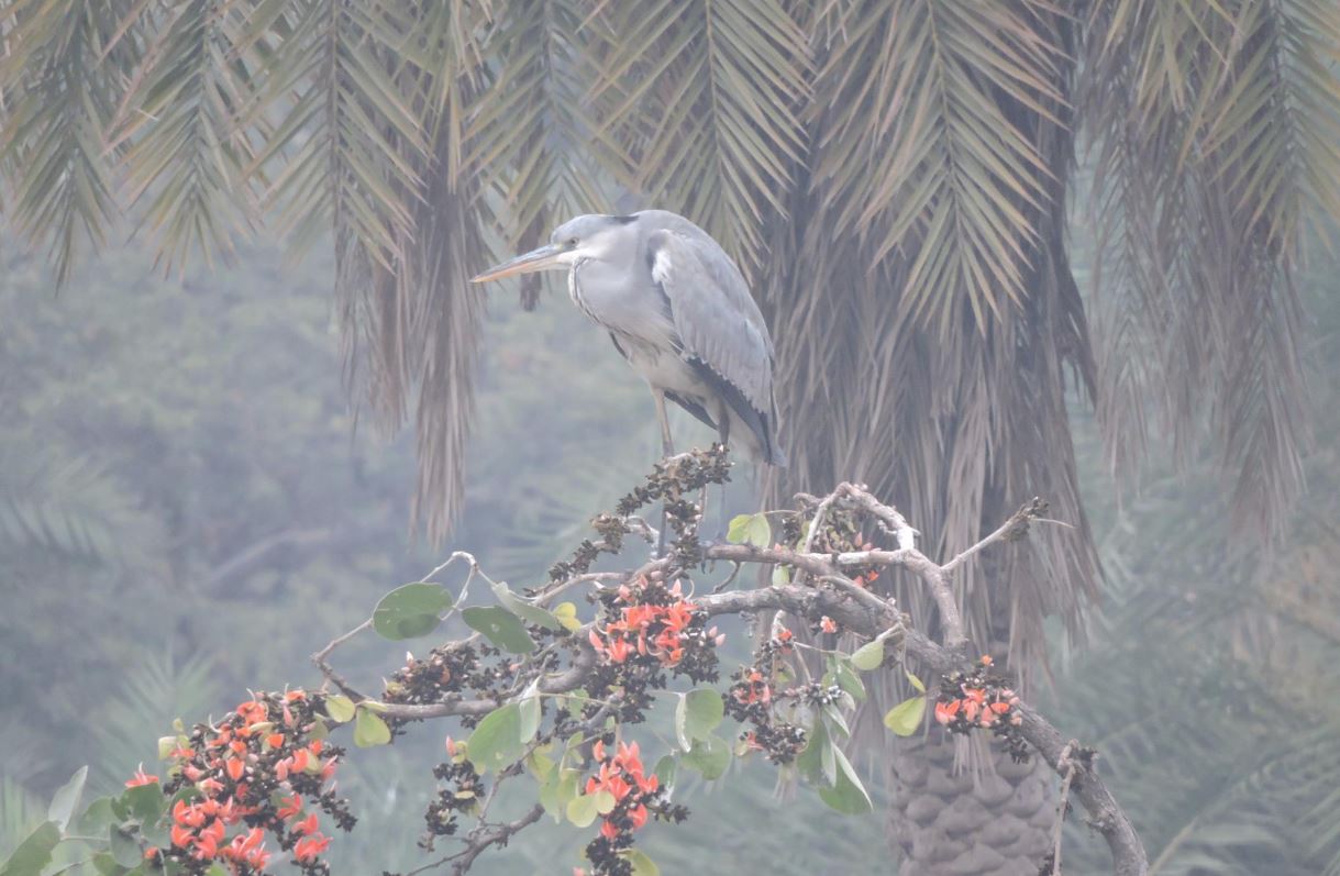 Van Vihar National Park