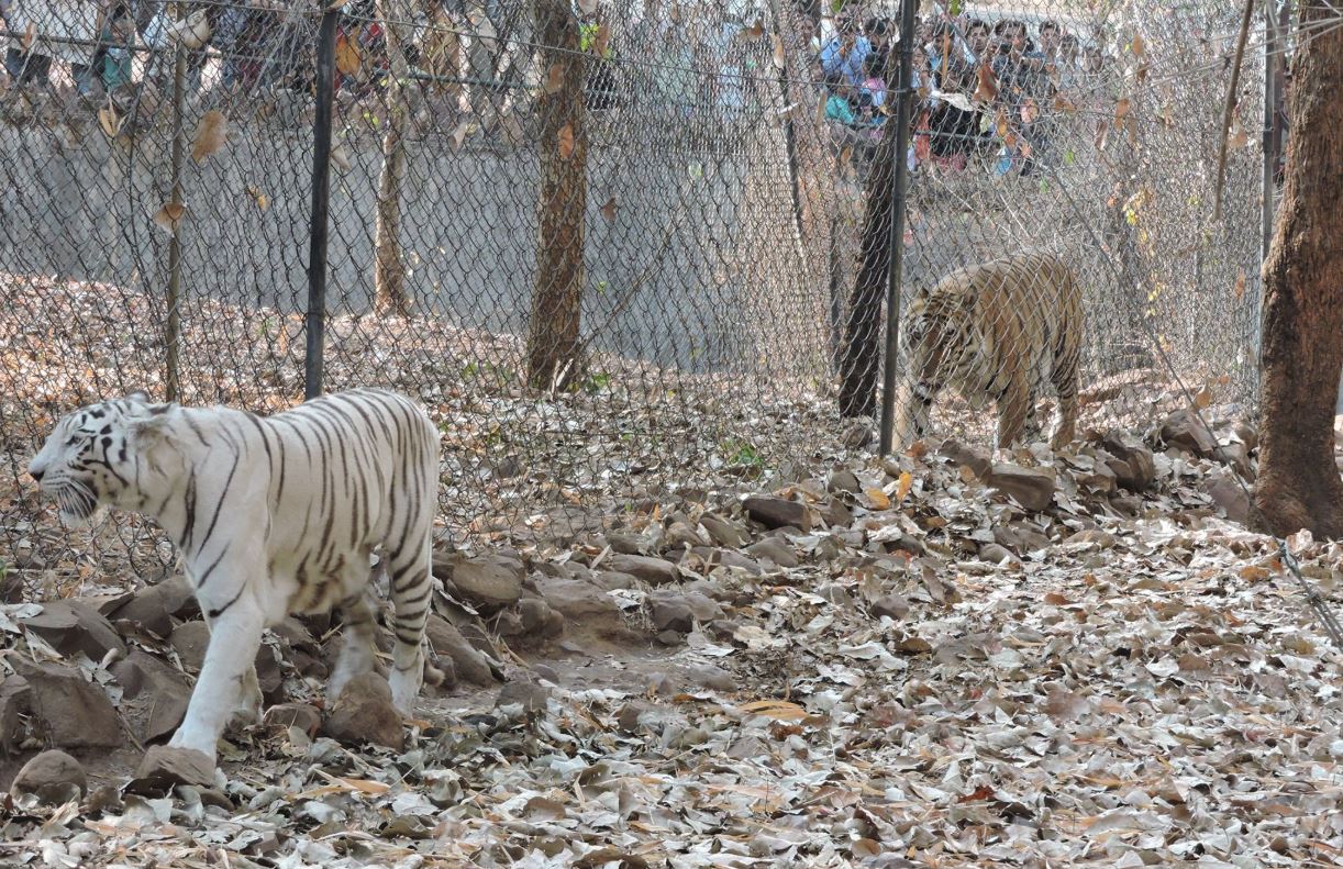 Van Vihar National Park