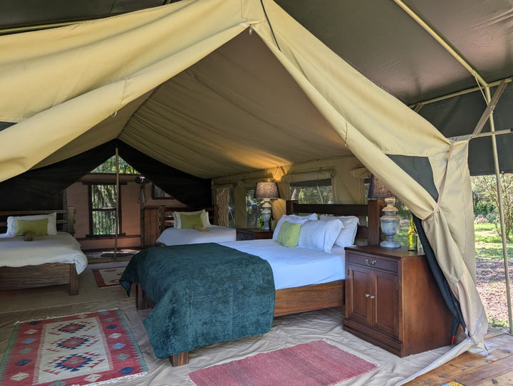 Tor's Camp