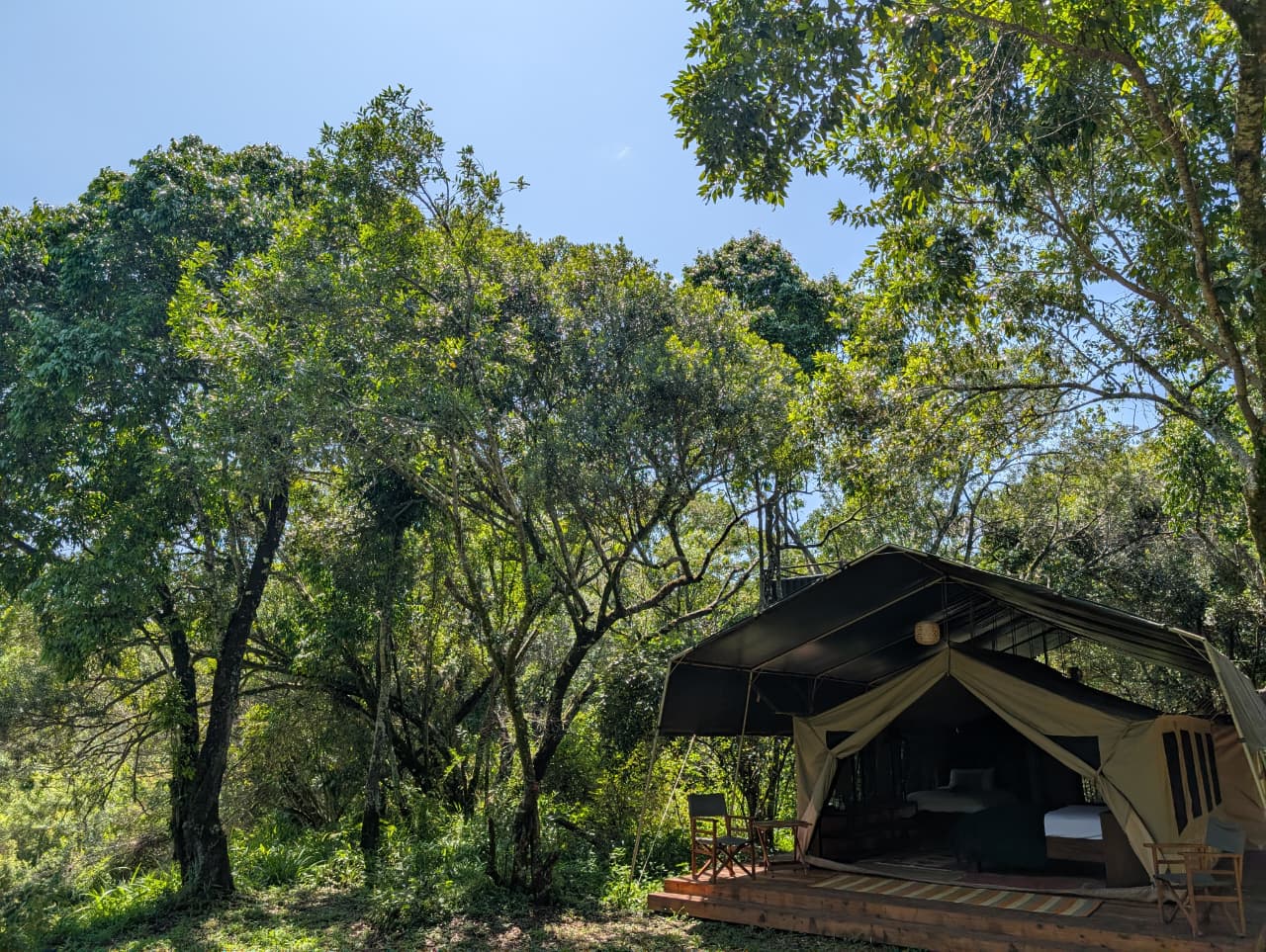 Family tent