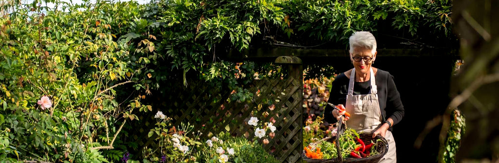 TE KOI - The Lodge at Bronte - Nelson - New Zealand