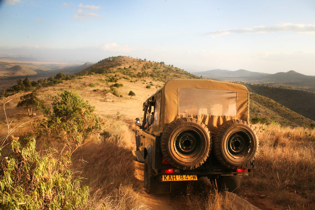 GoWild at Lolldaiga Hills Ranch