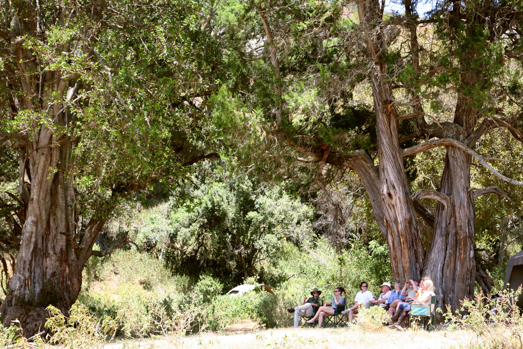 Private Fly Camp in Lolldaiga Hills Ranch