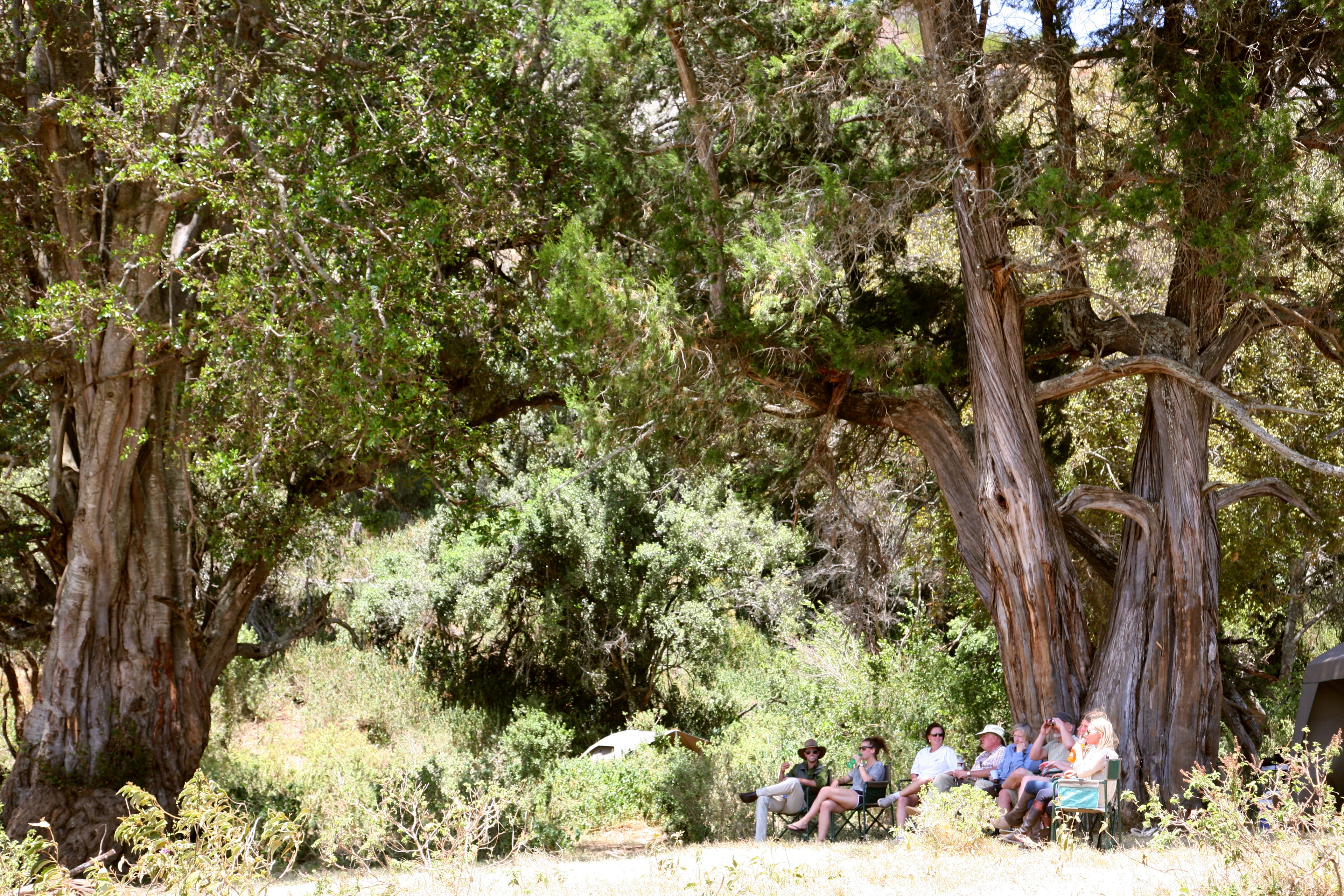 Private Fly Camp in Lolldaiga Hills Ranch