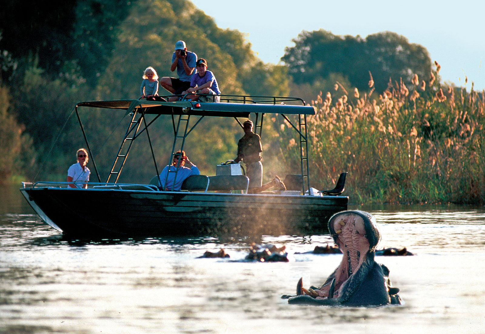 Victoria Falls River Safaris