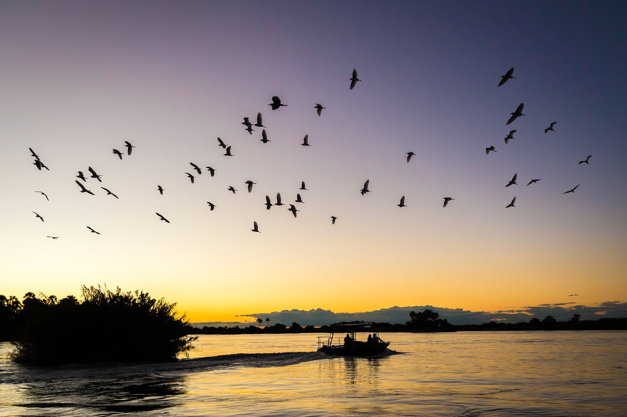 Sunset River Boat Trip 5
