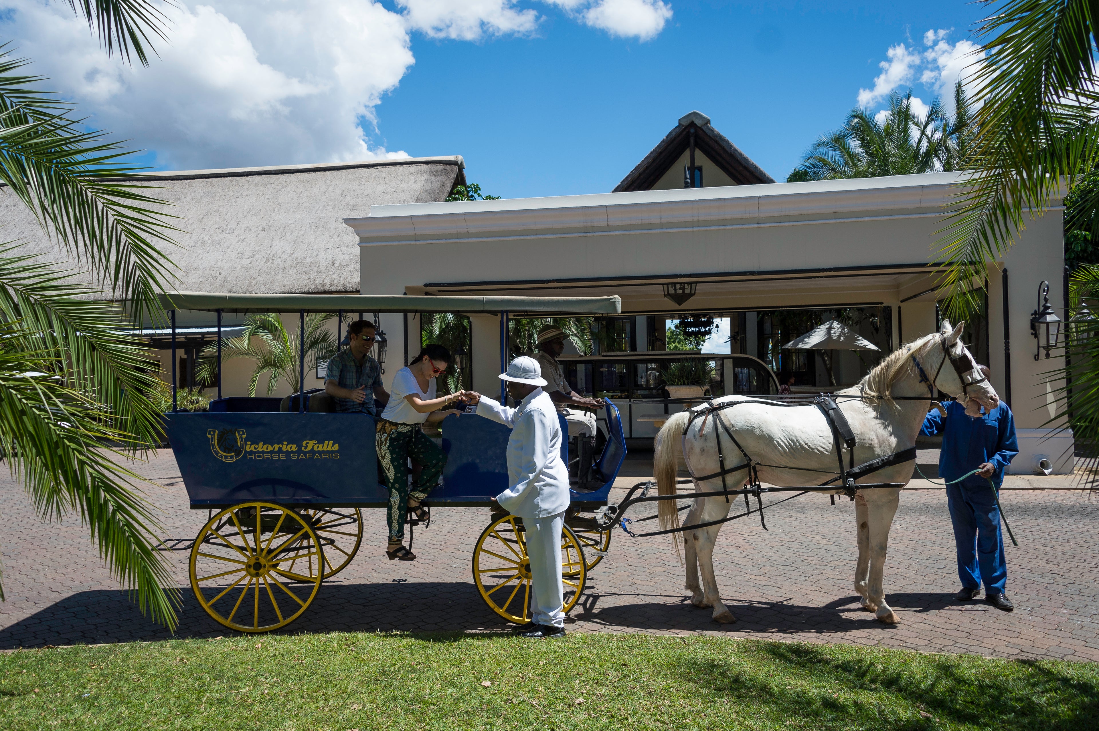 Half Hour Horse Drawn Carriage Ride