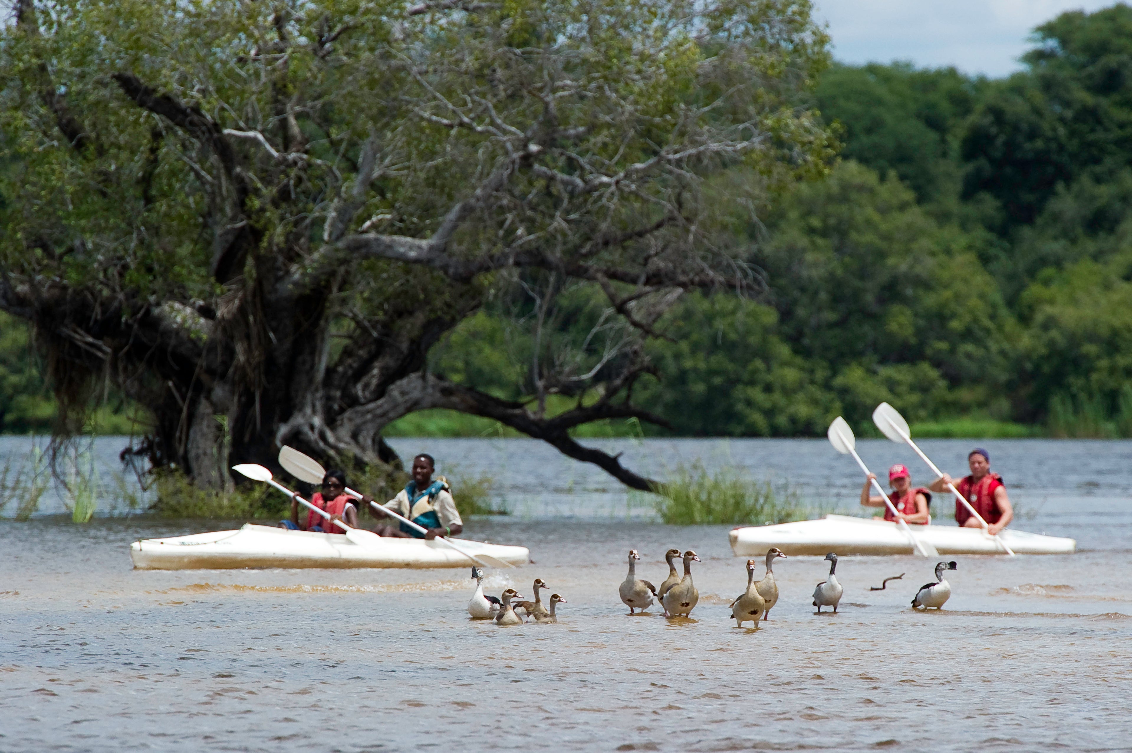Half Day Canoe Trip 3
