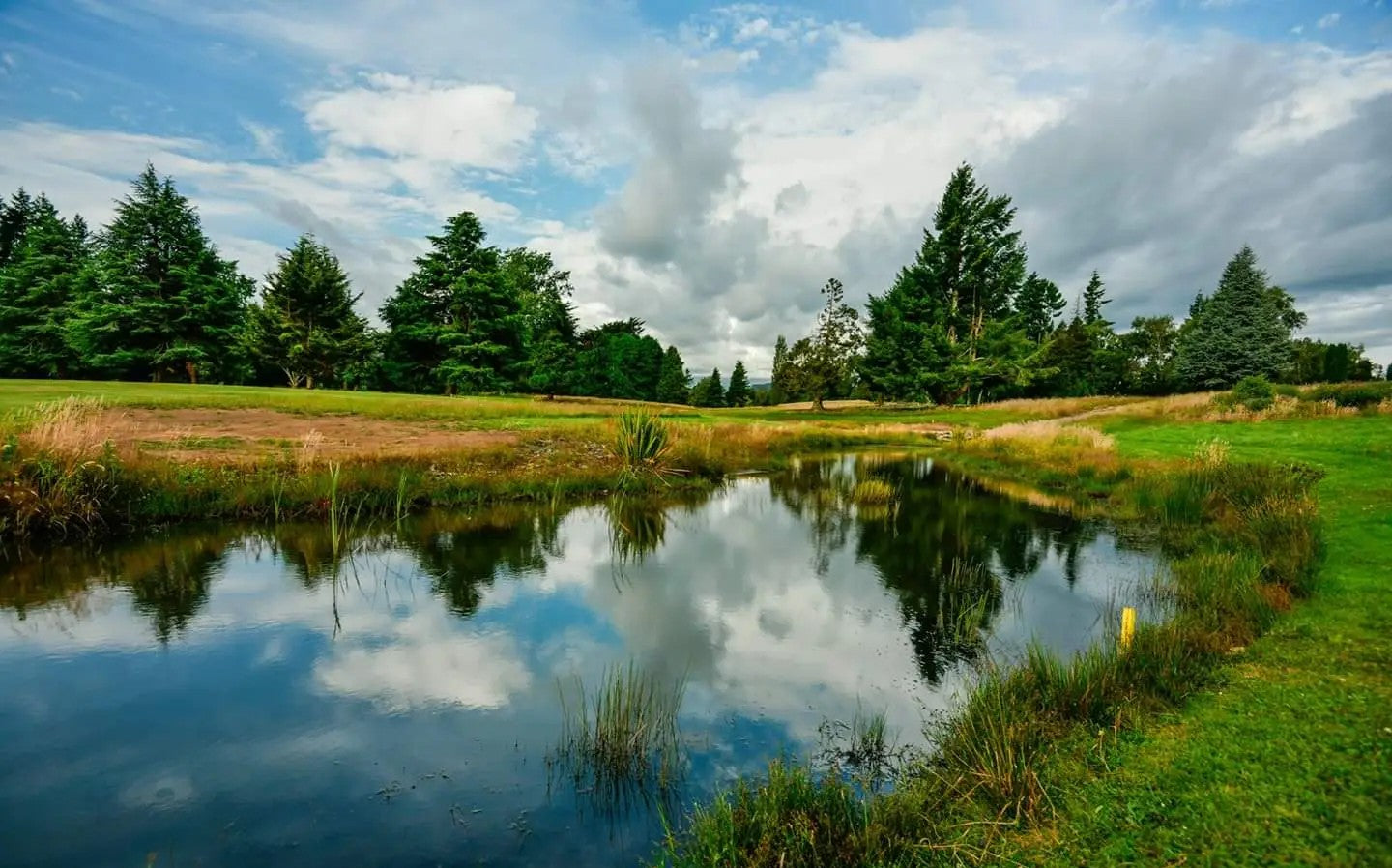 Waimarino Golf Club: Ruapehu Golf
