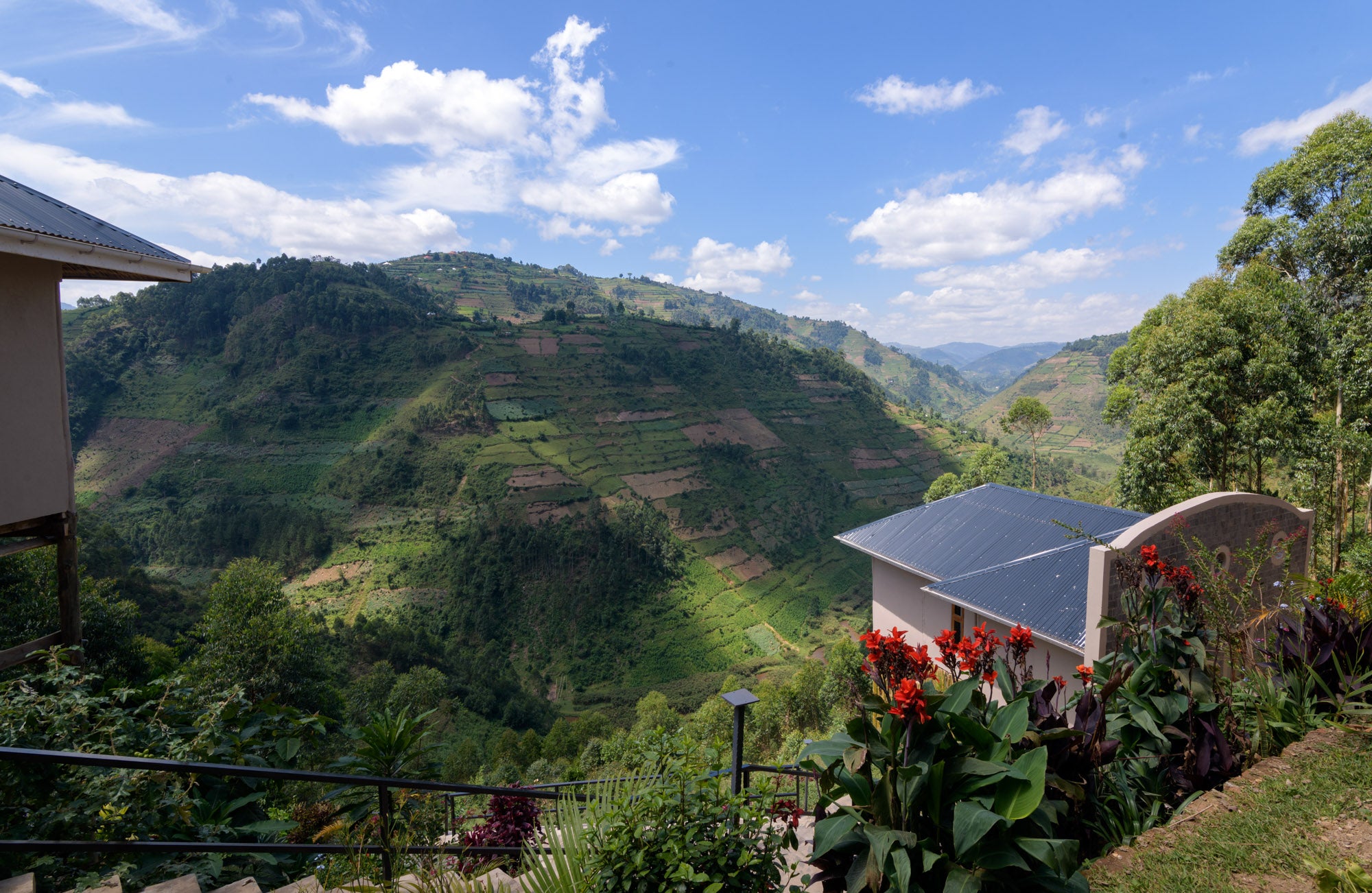 Emirambi Gorilla Safari Lodge