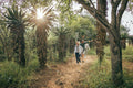 Guided Walks 