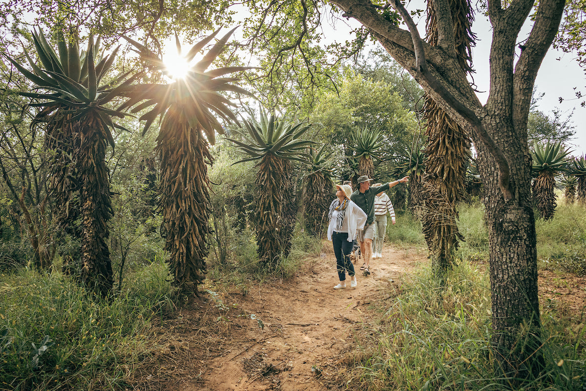 Summerplace Game Reserve — Guided Walks