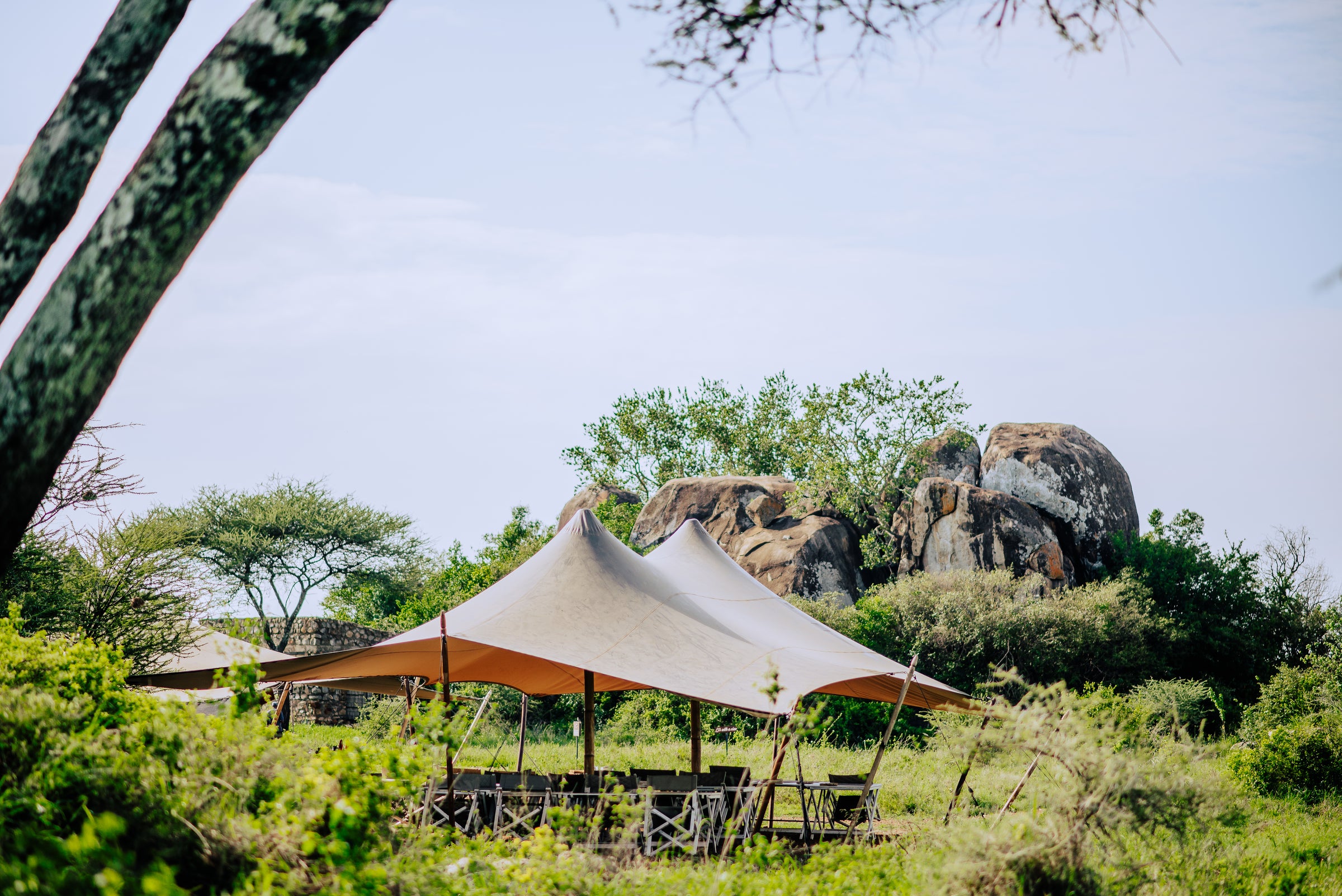 Miracle Experience Bush Lunch