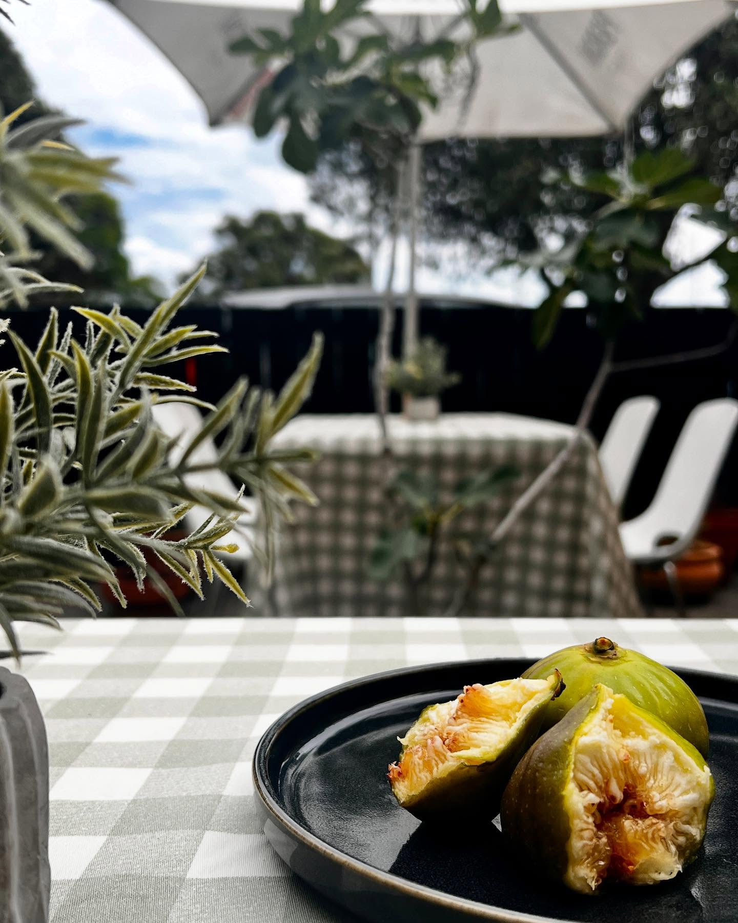 The Olive Branch Whakatane