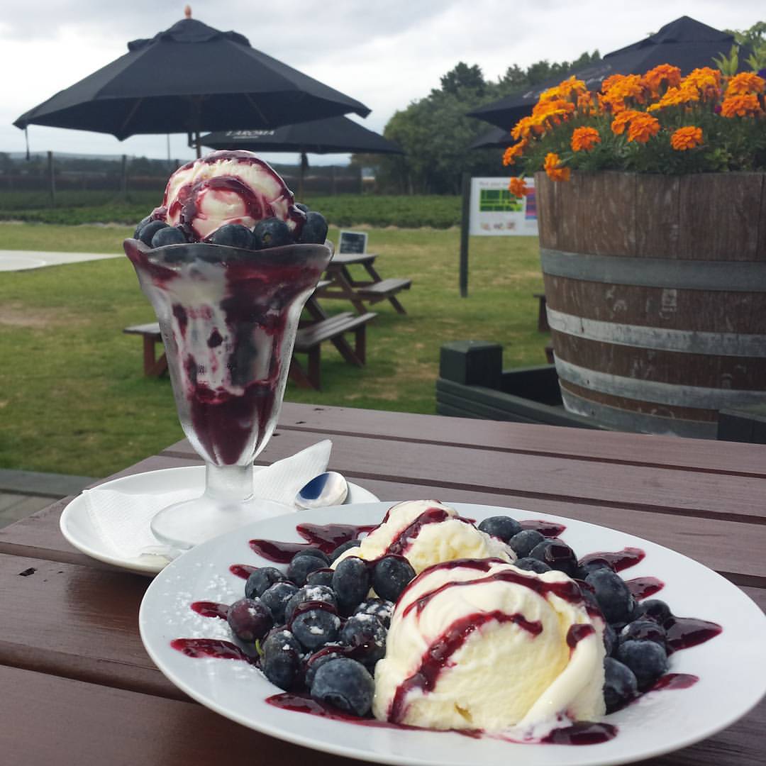 Julians Berry Farm and Café