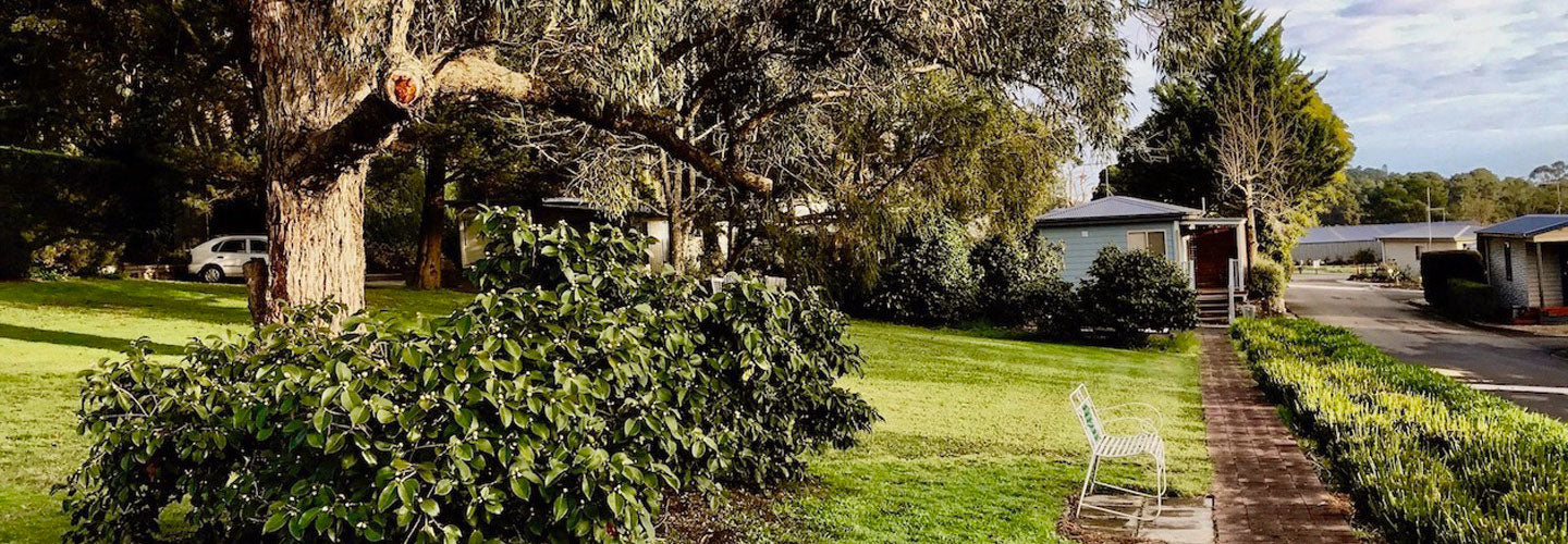 Lilydale Pine Hill Caravan Park