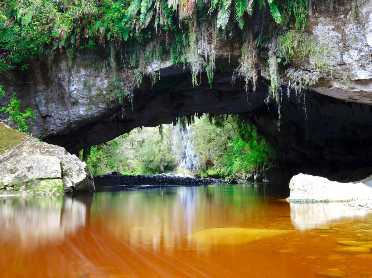 Oparara Guided Tours