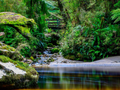 Oparara Guided Tours