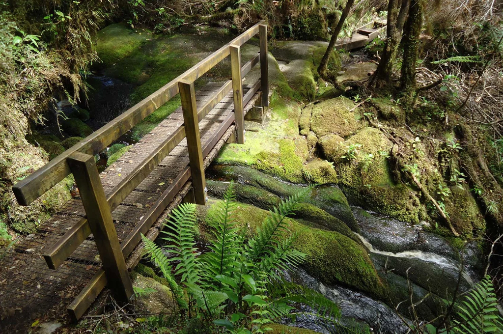 Oparara Guided Tours