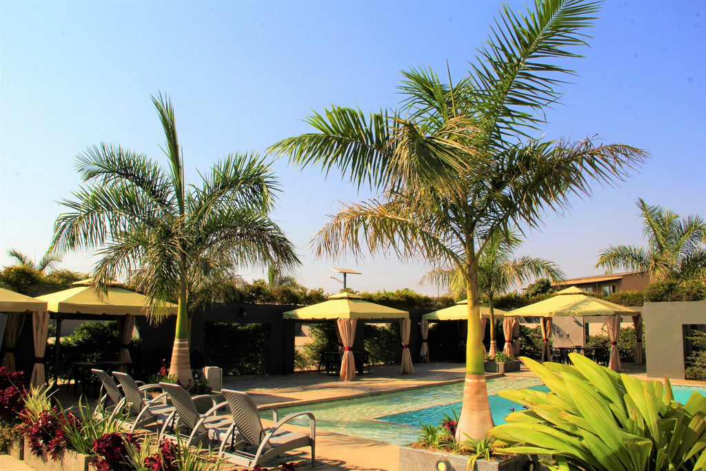 Urban Bliss Hotel