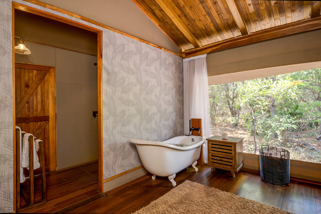 Bathroom View