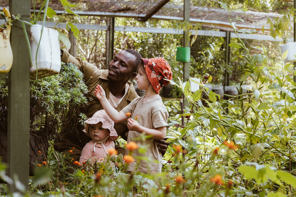 Organic Garden